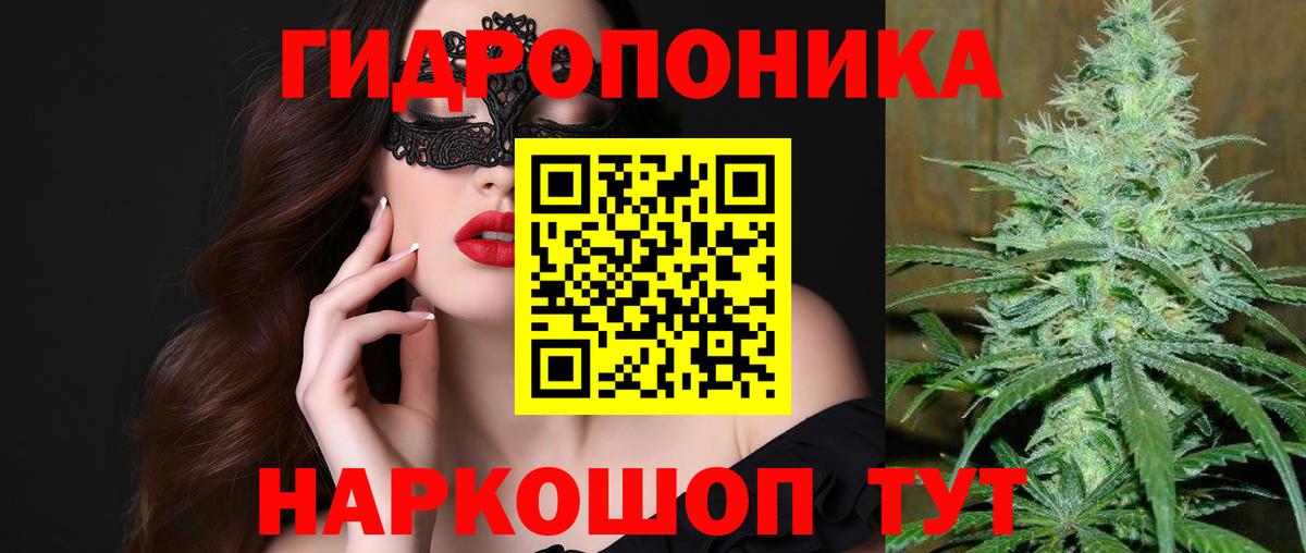Шишки марихуана план Гатчина